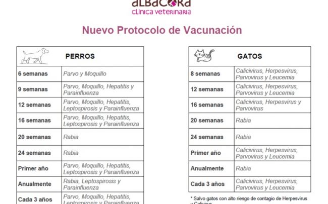 Hambre colgar pasajero Nuevo Protocolo de Vacunación - Albacora - Clínica Veterinaria