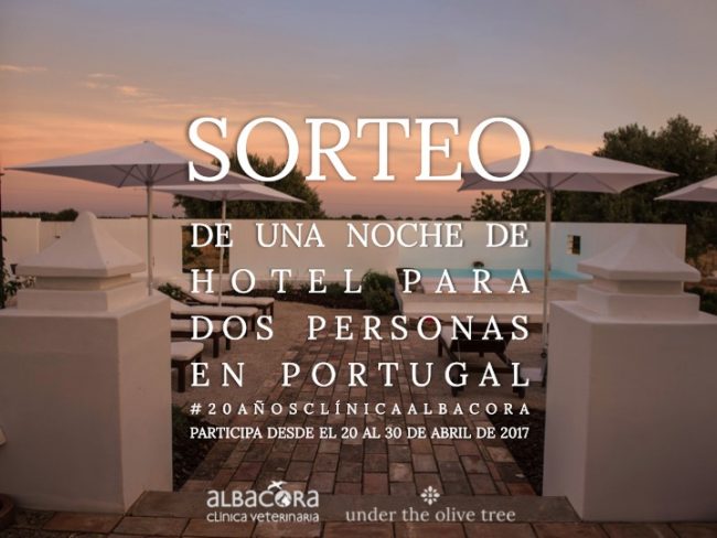 Sorteo noche hotel Portugal