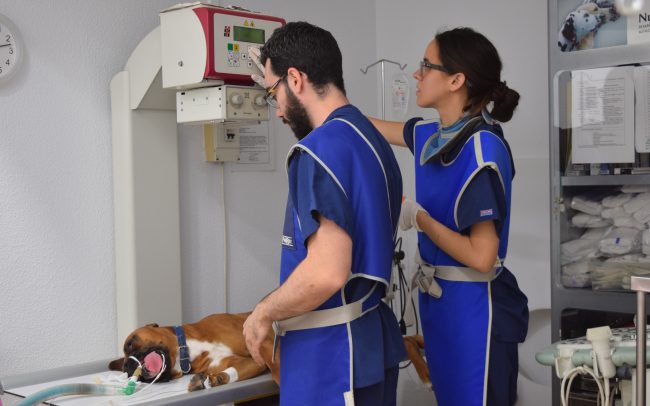 Clínica Albacora Radiografía