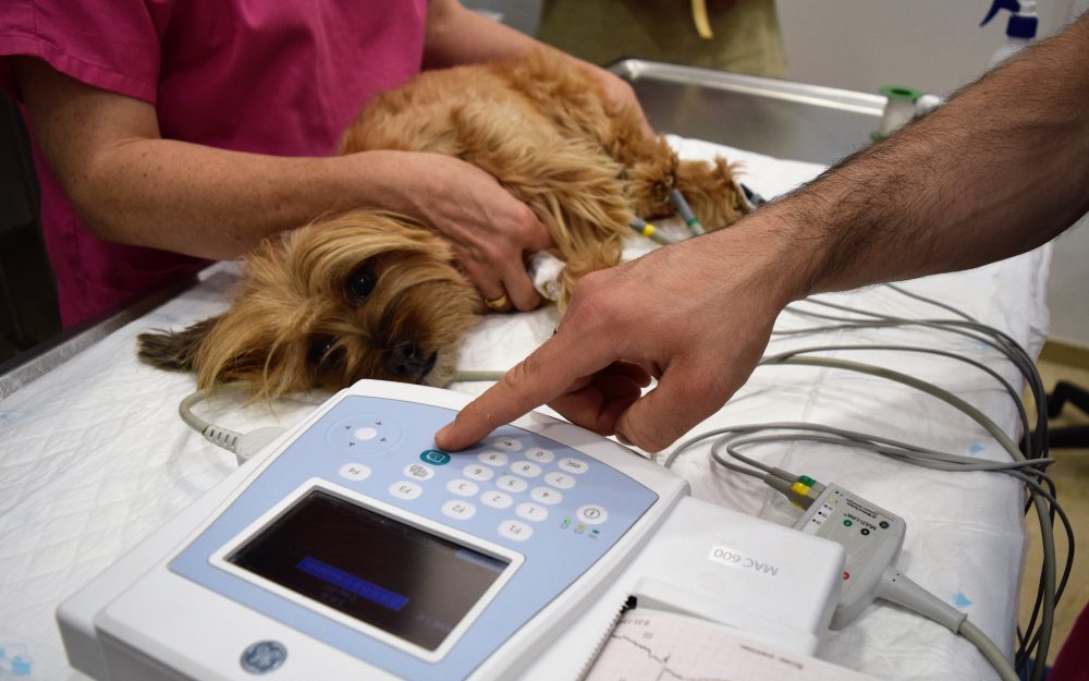 Clínica Albacora electrocardiograma