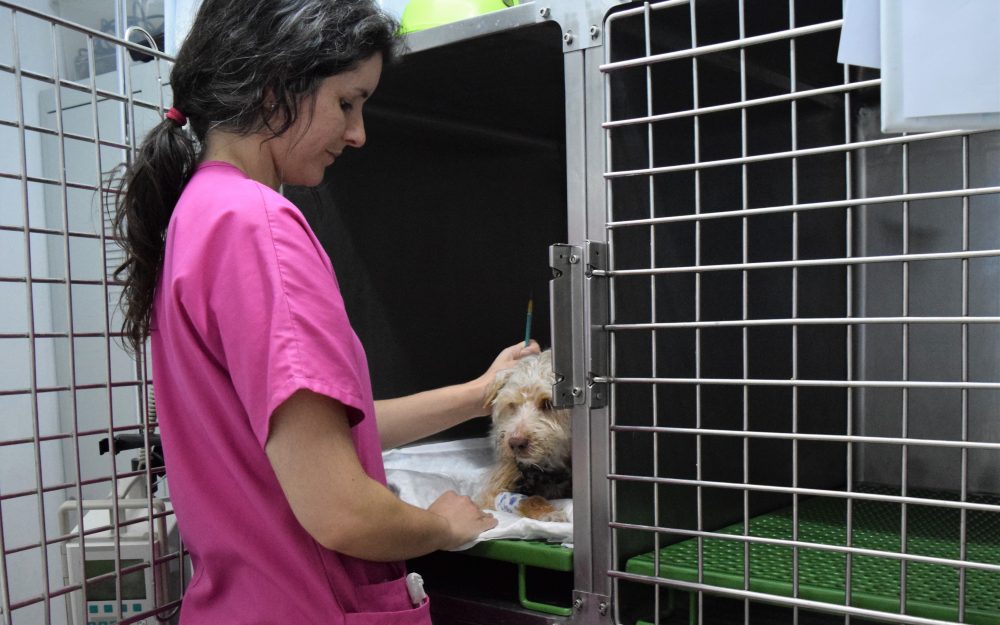 Clínica Albacora Hospitalización