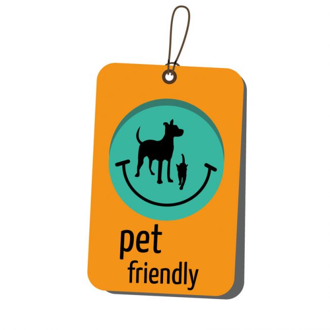 Jaén Pet Friendly